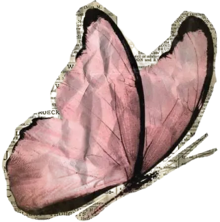 A pink butterfly cut from newsprint
